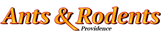 Providence Ant Exterminator & Rodent Control Company Logo